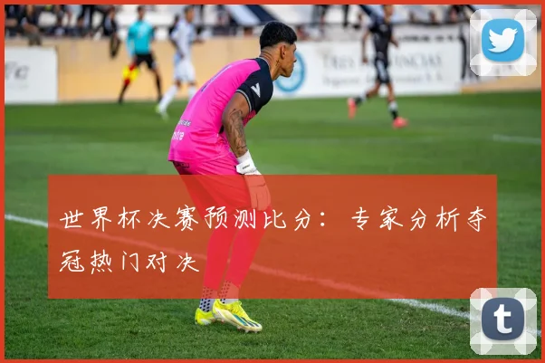 世界杯决赛预测比分:专家分析夺冠热门对决